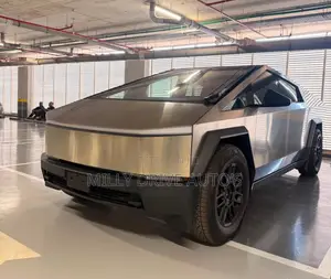 Tesla Cybertruck Cyberbeast 2025 Gray