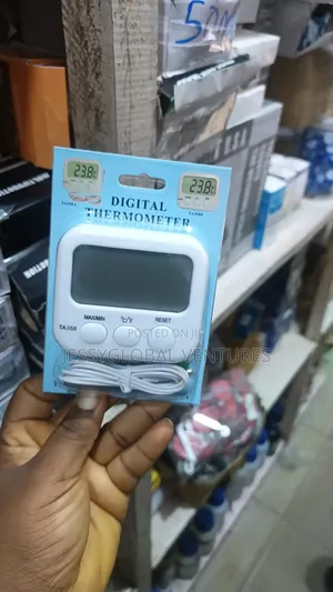 Digital Thermometer
