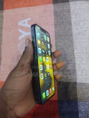 Apple iPhone 13 Pro Max 256 GB Green