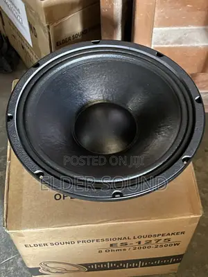 12 Inches Naked Speaker ( Line Array)