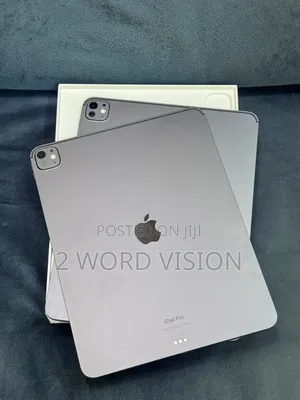 Apple iPad Pro 13 (2024) 256 GB Gray