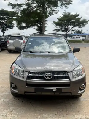 Toyota RAV4 2010 Gray
