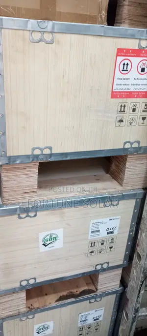 Welion Lithium Battery 15kwh With Digital Display and Standing