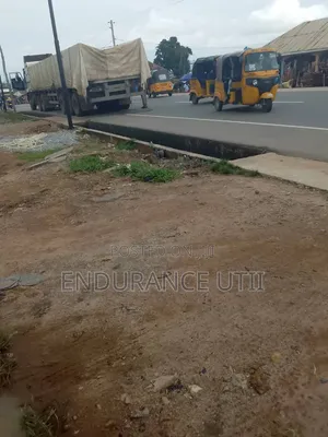 Direct Distributor of Dangote and Bua Cement