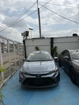 Toyota Corolla LE 2020 Gray