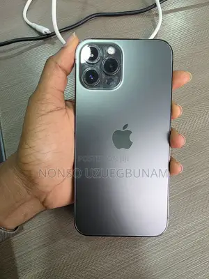 Apple iPhone 12 Pro Max 256 GB Gray