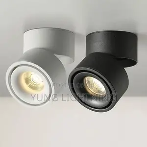 Modern Adjustable LED Surface Spotlight