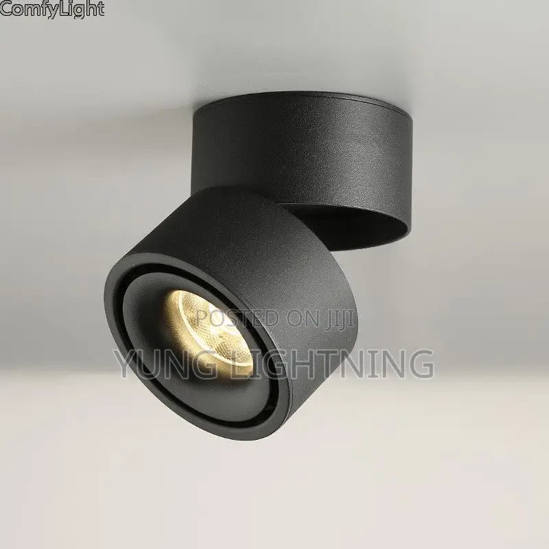 Modern Adjustable LED Surface Spotlight