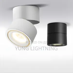 Modern Adjustable LED Surface Spotlight