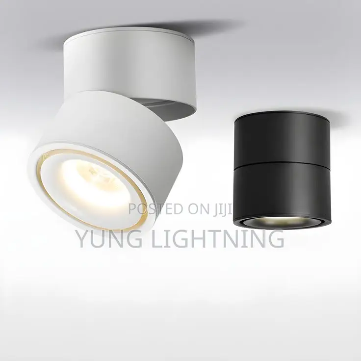 Modern Adjustable LED Surface Spotlight