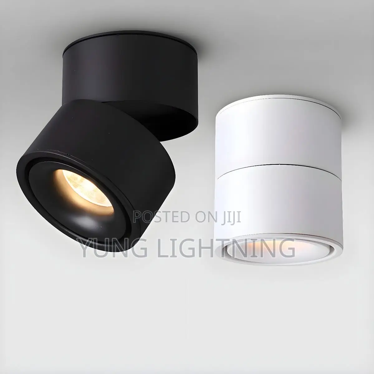 Modern Adjustable LED Surface Spotlight