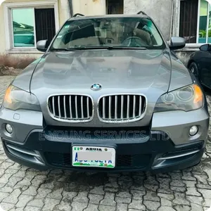 BMW X5 2010 Gray