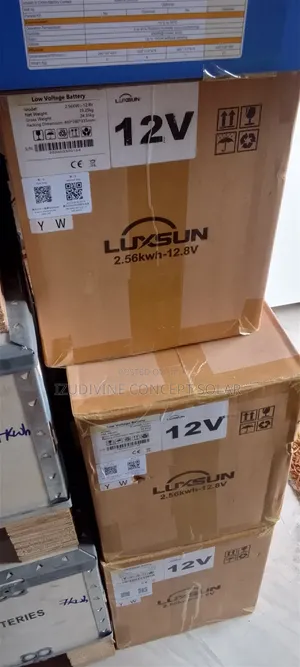 2.56kwh 12v Luxsun Lithium Battery