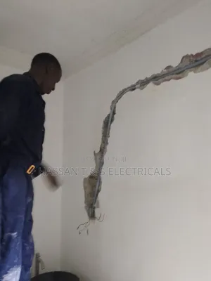 Professional Electrician