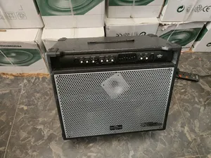 Heavy-Duty Professional Bass Combo Amplifier
