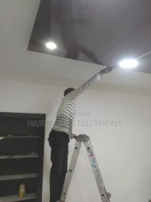 Professional Electrician