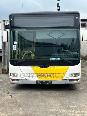 Bus 2010 White