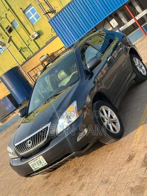 Lexus RX 2009 Gray