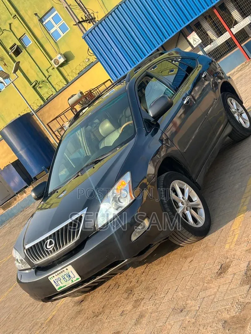 Lexus RX 2009 Gray