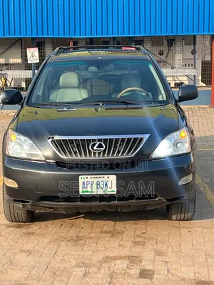 Lexus RX 2009 Gray