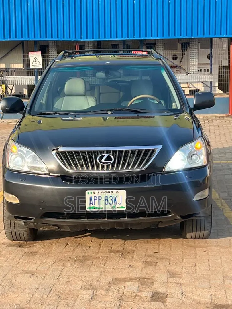 Lexus RX 2009 Gray