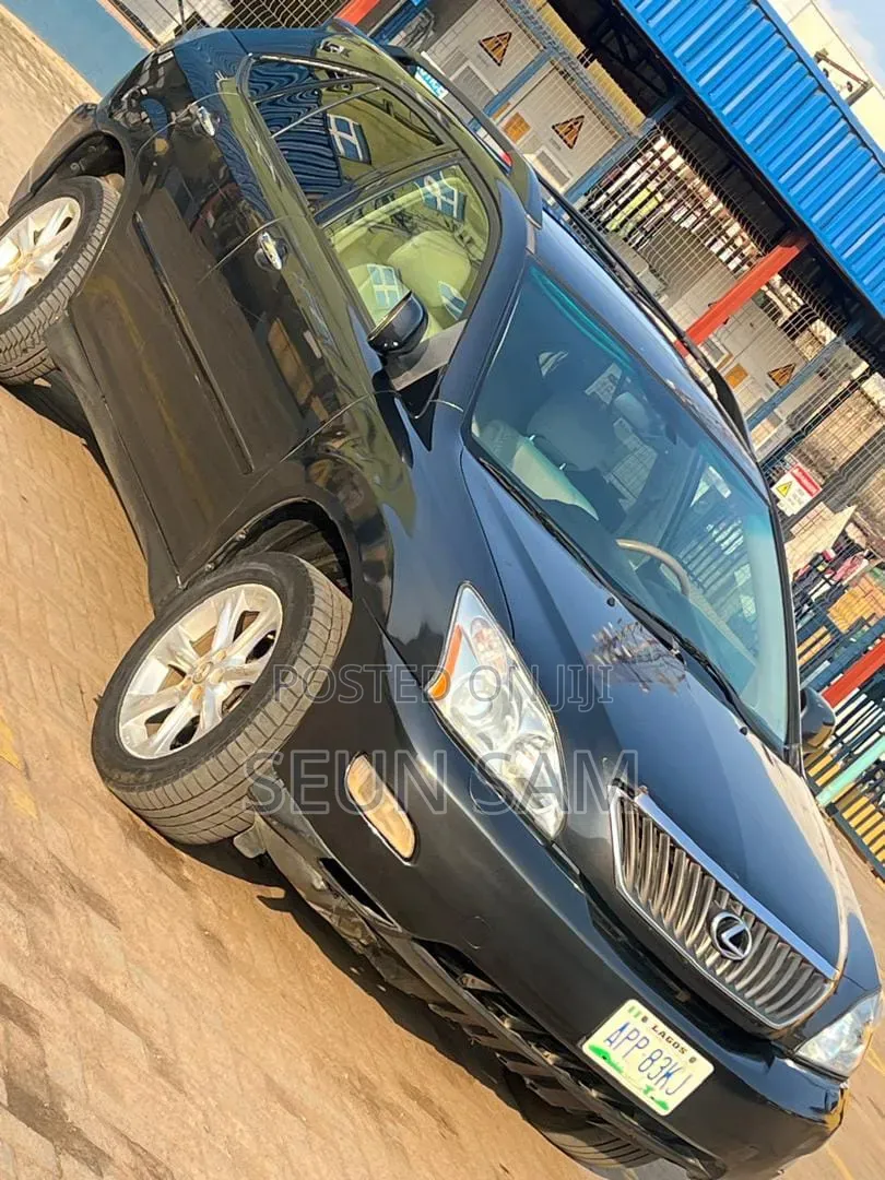 Lexus RX 2009 Gray