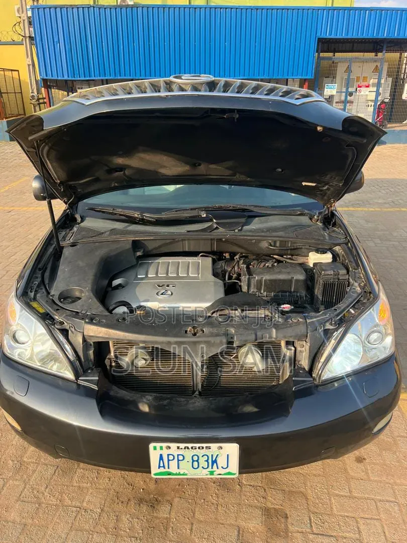 Lexus RX 2009 Gray
