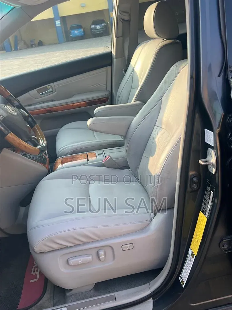 Lexus RX 2009 Gray