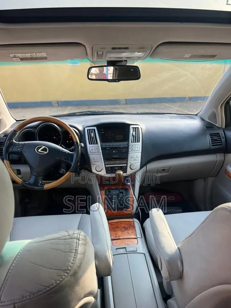 Lexus RX 2009 Gray