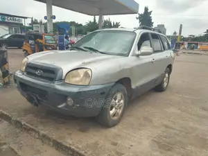 Hyundai Santa Fe 2006 Silver