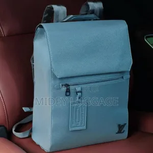 Luxury Louis Vuitton Backpack