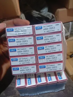 6004zz/C3 SKF Bearing
