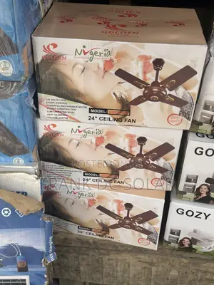 GOLDEN BREEZE 24” Ceiling Fan