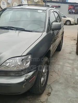 Lexus RX 2002 Gray