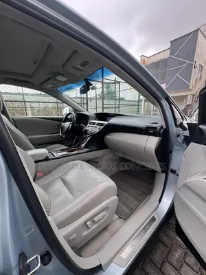 Lexus RX 2010 Blue