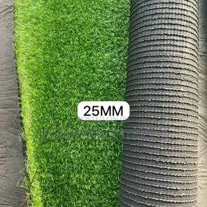 Best Quality Green Rug
