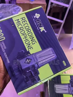 BNK C800 Condenser Studio Recording Microphone