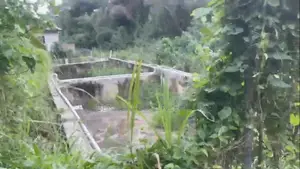 Fish Pond on 1.5 Plot of Land