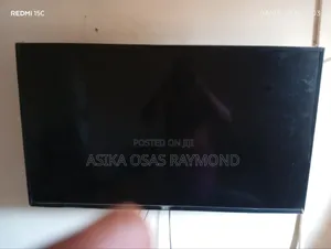 LG Television Less Than a Year