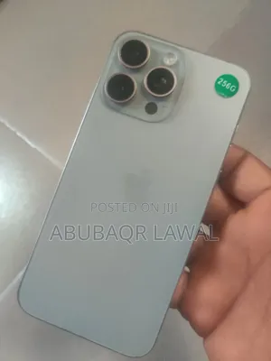 Apple iPhone 15 Pro Max 256 GB Silver