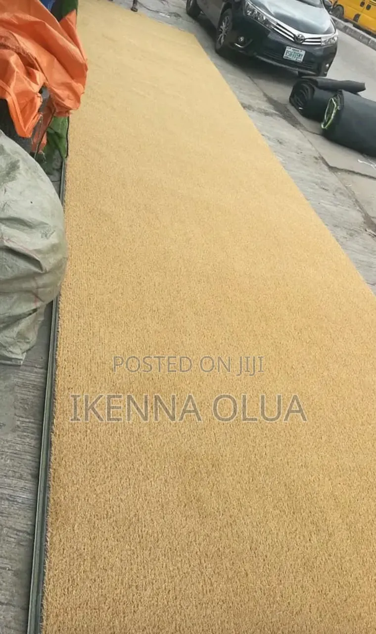 Artificial Grass