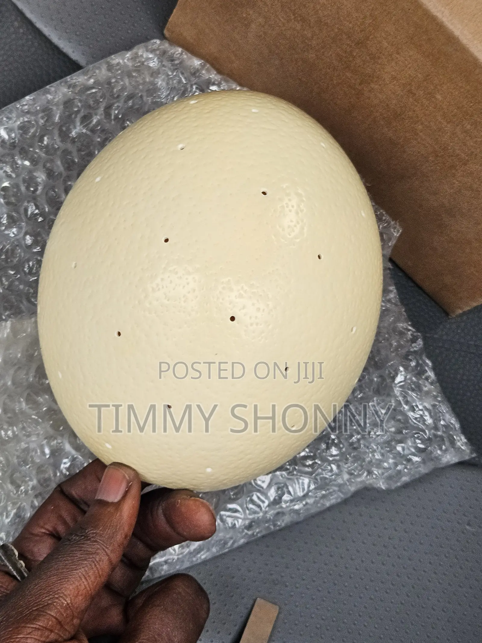 Ostrich Lamp Stand