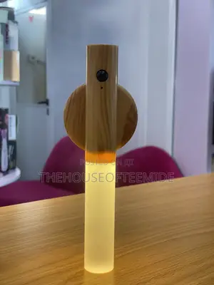Induction Wall Light