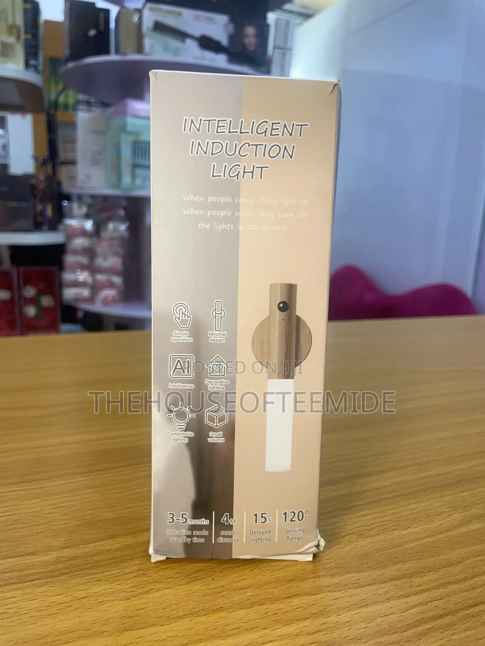 Induction Wall Light