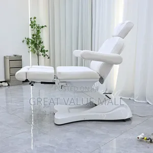 Professional Tattoo Bed