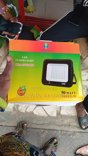 50 Watts Flood Light