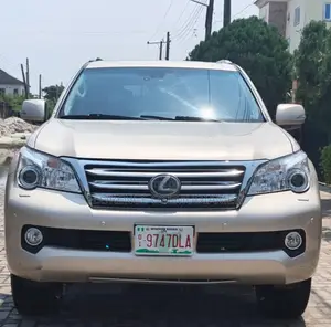 Lexus GX 460 2010 Silver