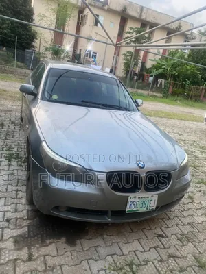 BMW 530i 2009 Gray