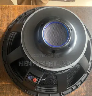 18” Double Magnet Naked Speaker