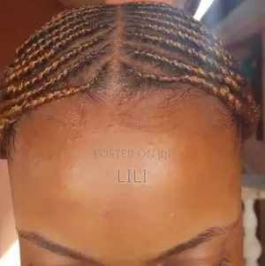 EL'S BEAUTY TOUCH and Hair Lux